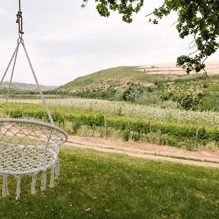 Beaumont Family Wines Villa Botrivier Kültér fotó
